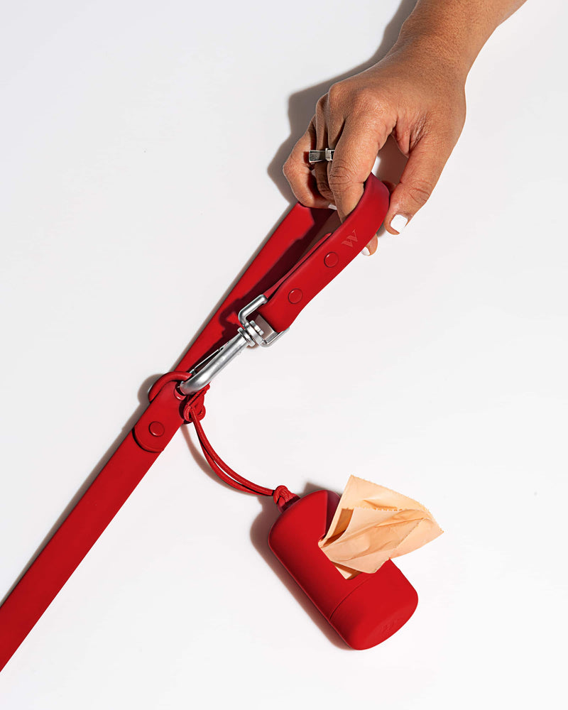 WILD ONE SMALL LEASH - STRAWBERRY