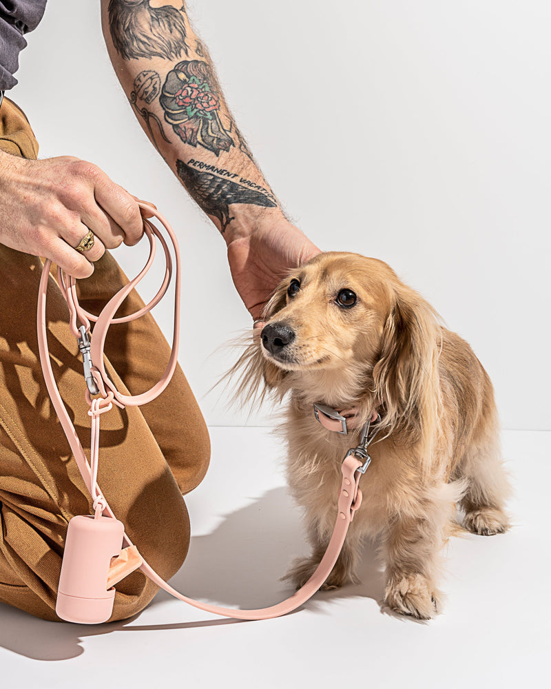WILD ONE SMALL COLLAR (NECK : 8-12", STRAP WIDTH : 3/4") - BLUSH