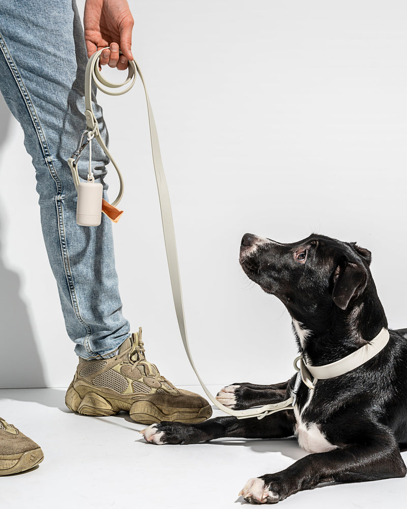 WILD ONE EXTRA SMALL COLLAR  - GRAY