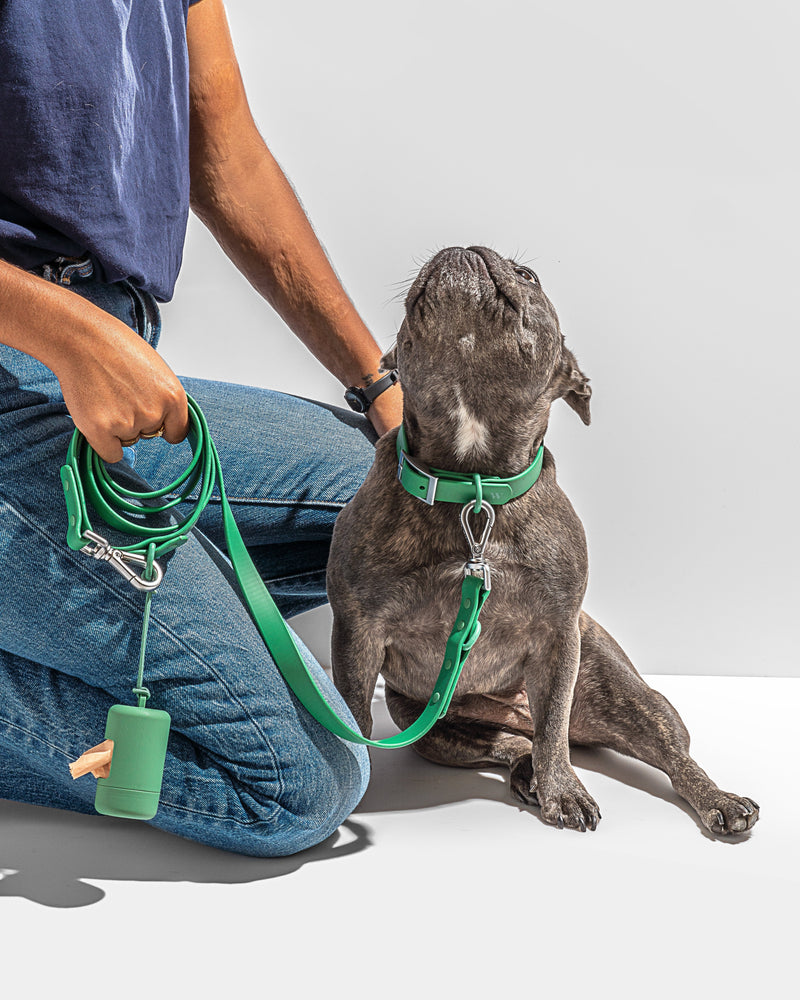 WILD ONE STANDARD LEASH - SPRUCE