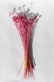 AMARELY FLOWER - LILAC PINK