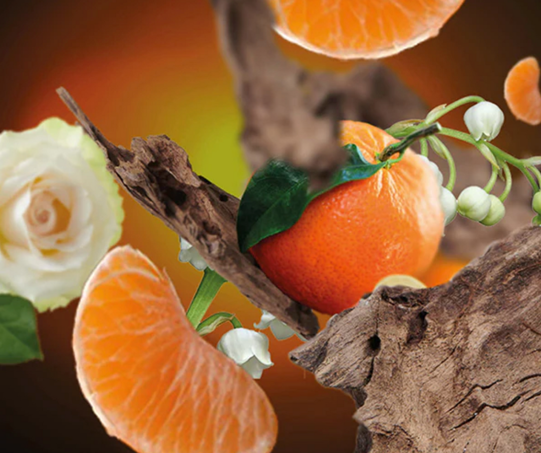 Maison Berger Enchanteresse au bois de santal Recharge pour lampe 500ml