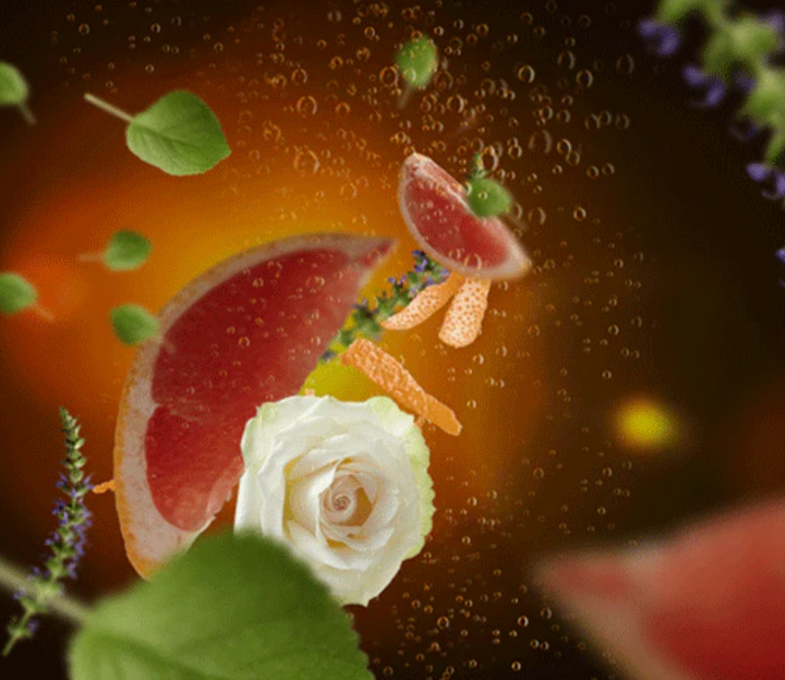 Olympus Rose - Éclat exquis