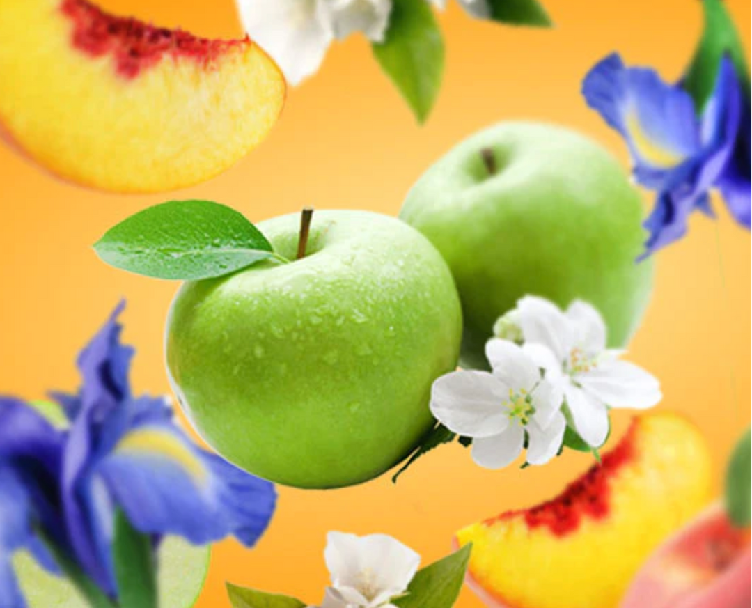 MAISON BERGER Parfum de lampe à la pomme verte