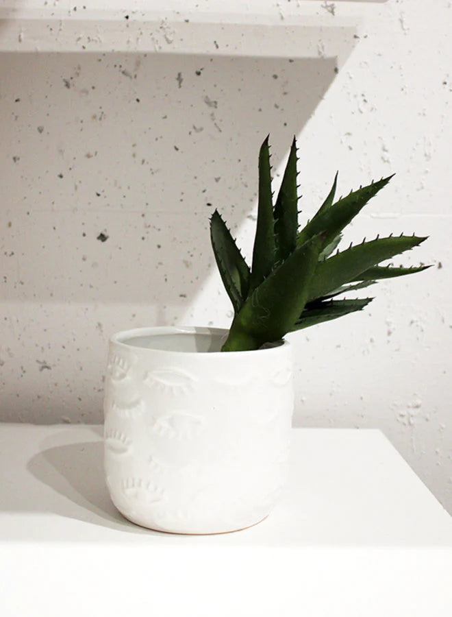 Aloe Pick
