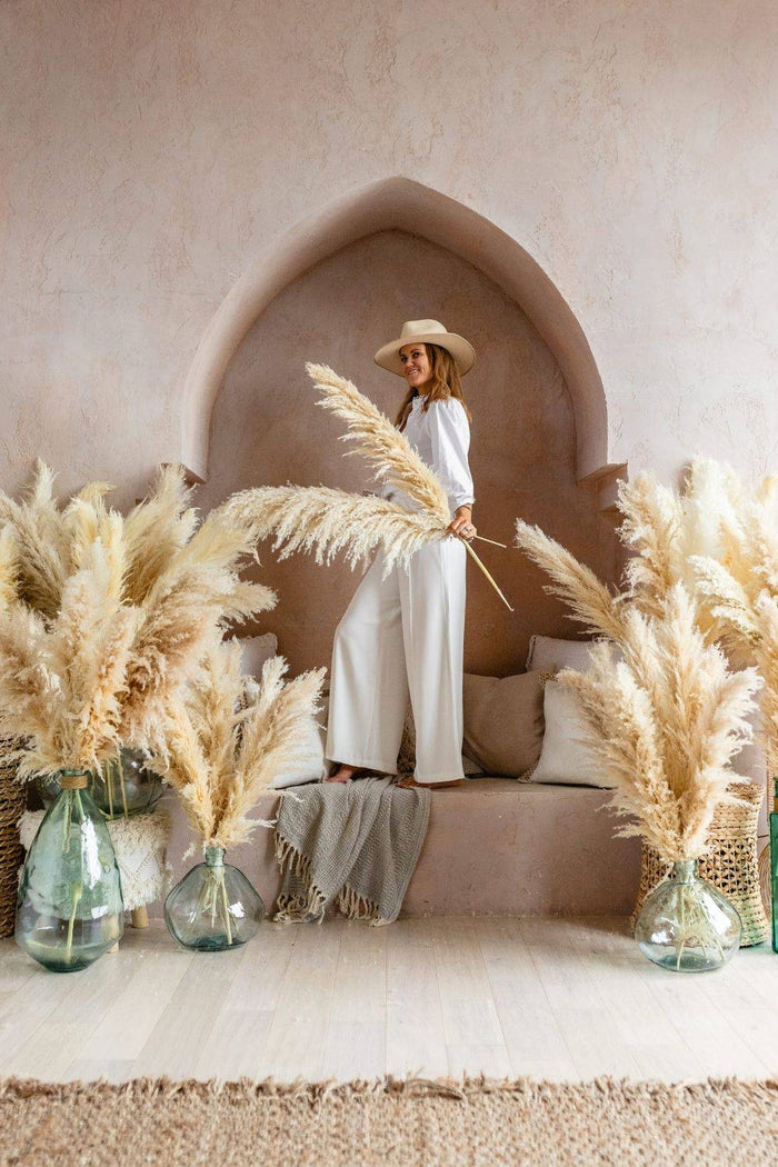 PAMPAS GRASS LARGE NATURAL TYPE 6
