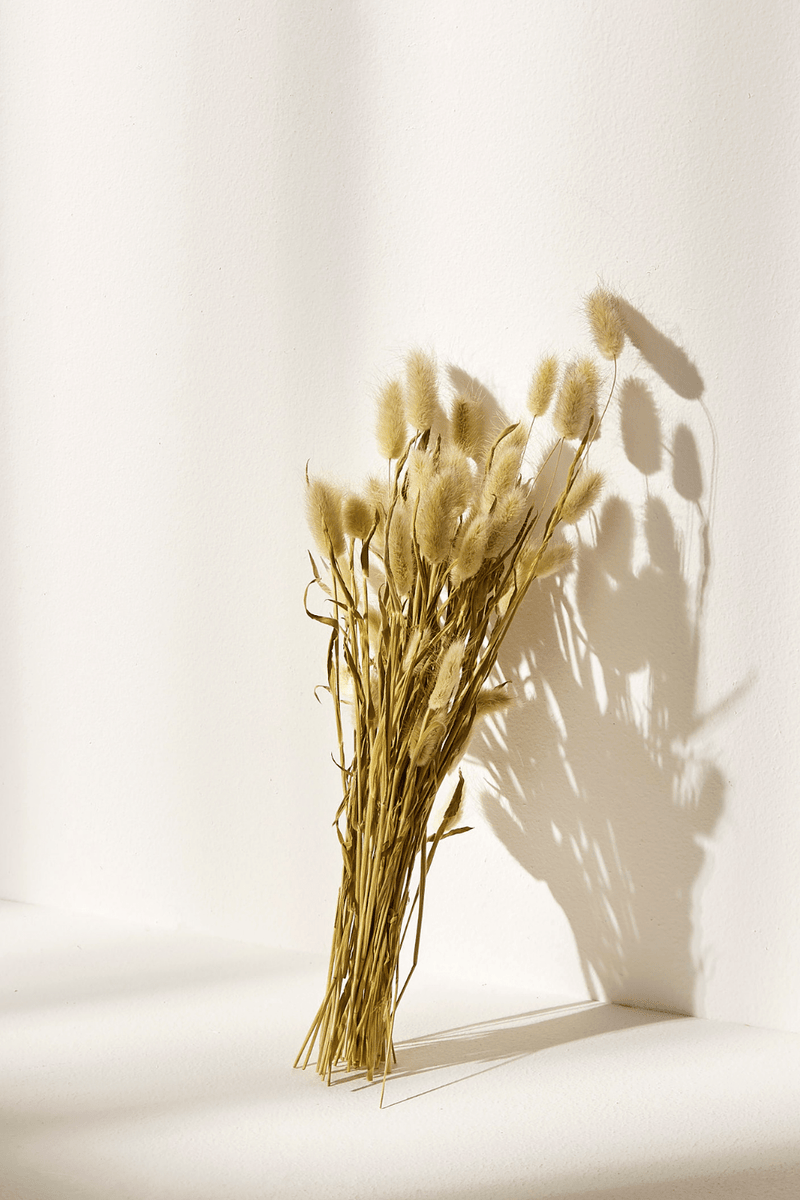 Retail Ready BUNNY TAILS Natural