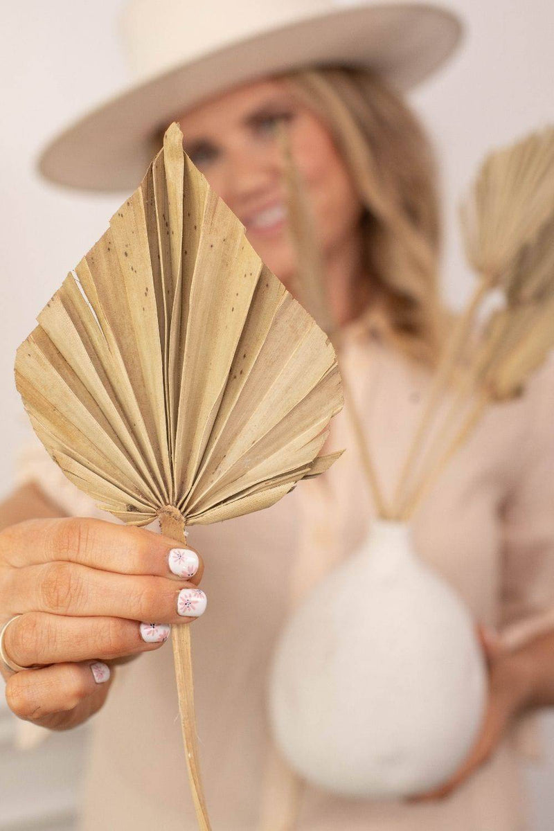 Natural Sun Spears Palm Leaves Natural