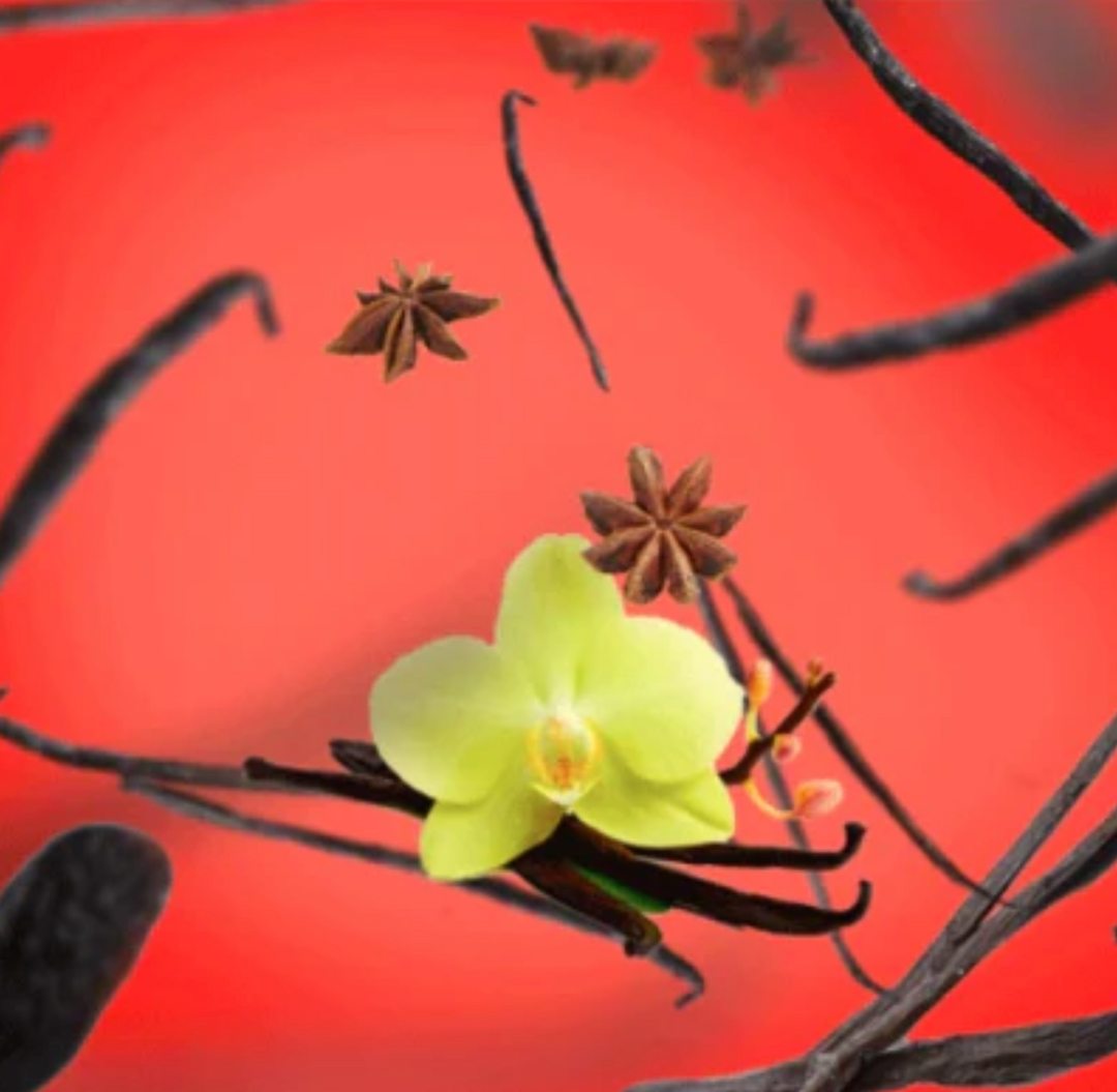 MAISON BERGER Lampe Berger Vanille Gourmet Recharge 500ml