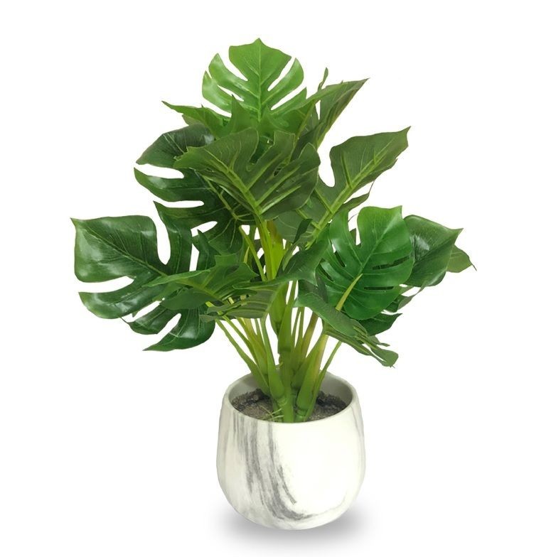 Monstera en pot de marbre 12x36