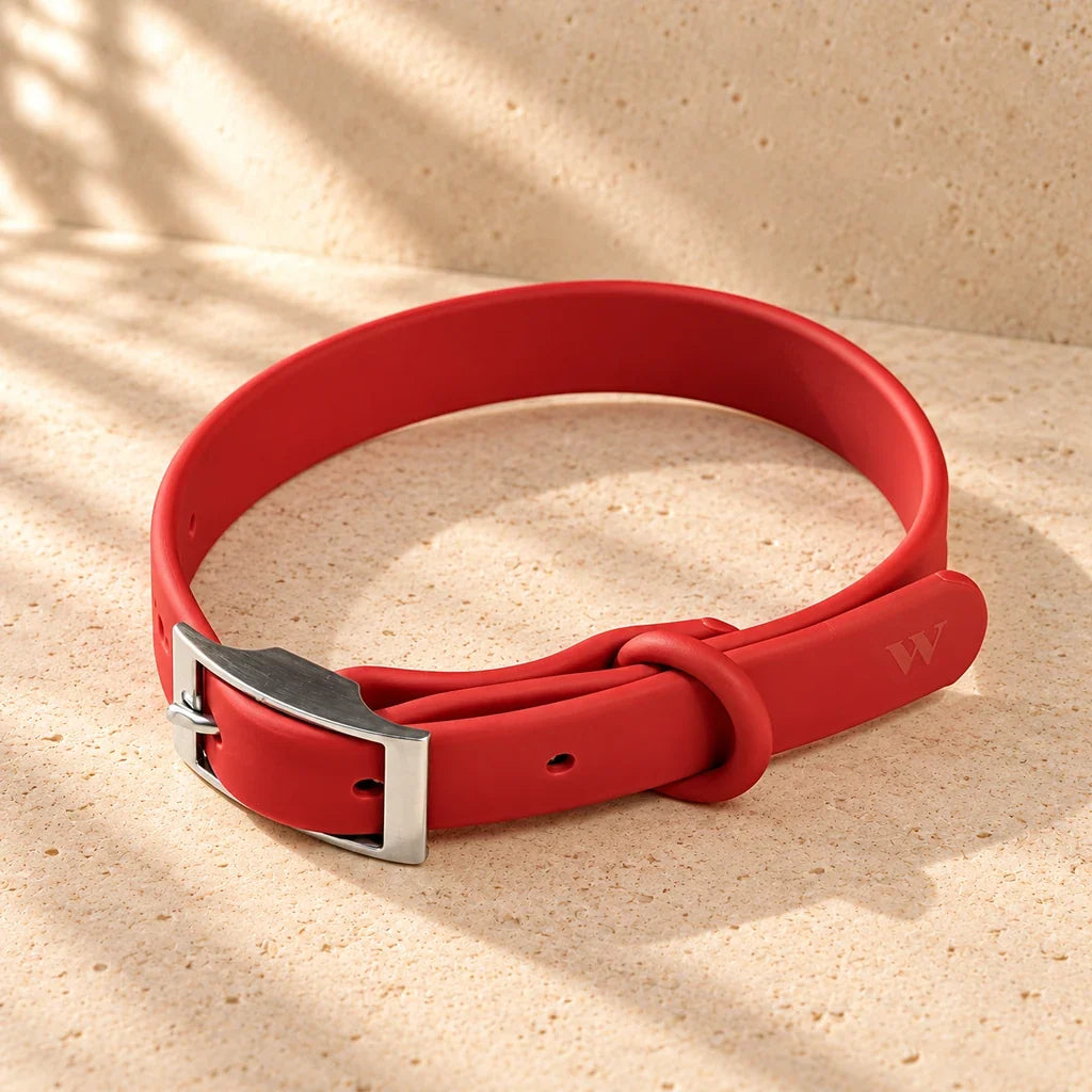 G. D’Aoust | Gifting / Pets | WATERPROOF DOG COLLAR - LARGE, STRAWBERRY