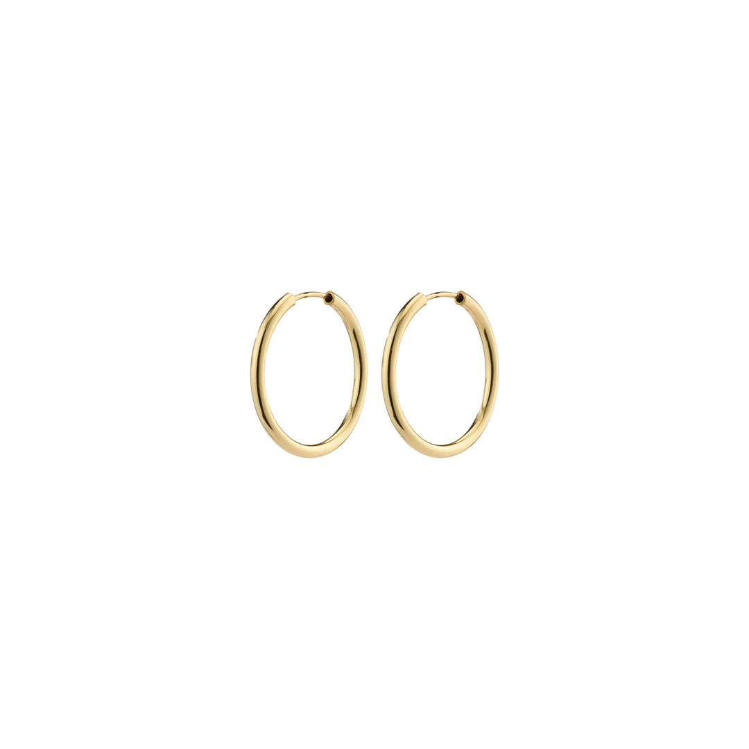 Pilgrim April Recycled Small Hoop Earrings Gold Plated