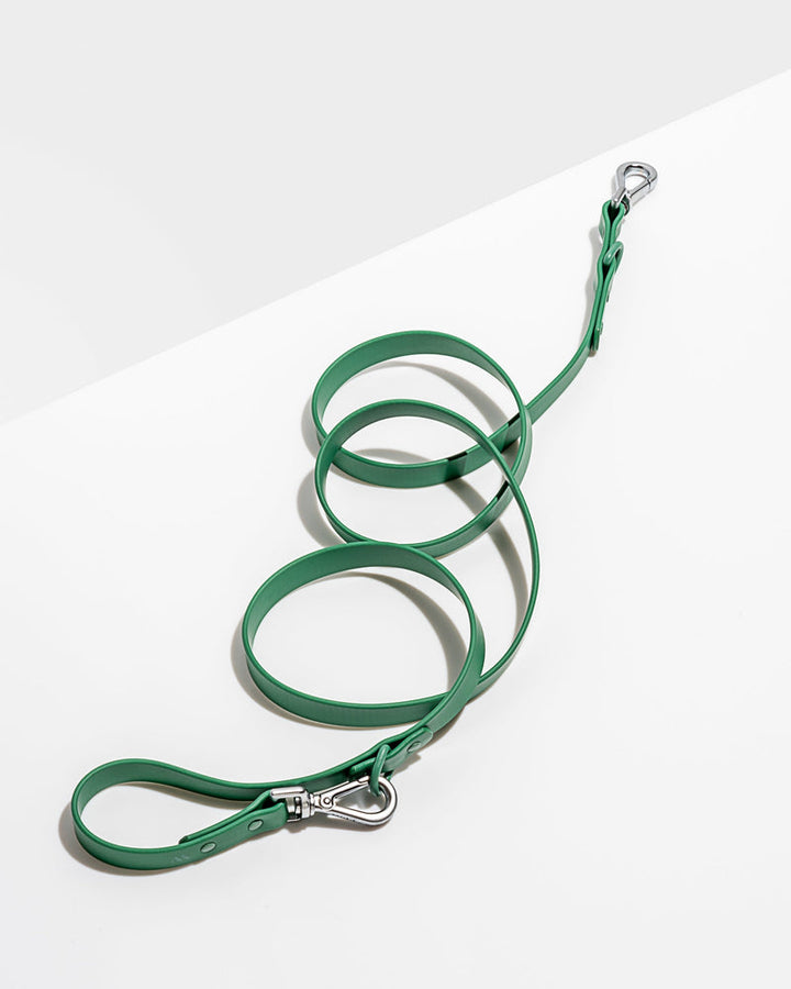 WILD ONE STANDARD LEASH - SPRUCE