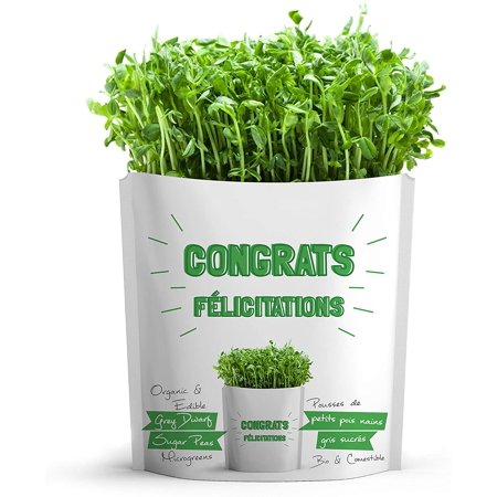 Gift-a-Green Congrats Pouch