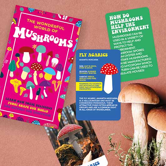 THE WONDERFUL WORLD OF MUSHROOMS - CARDS