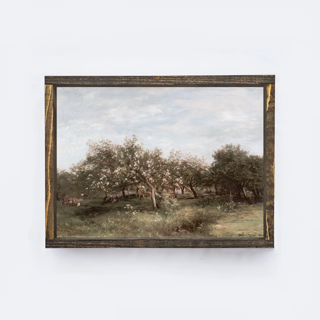 VINTAGE APPLE ORCHARDS A25 "ESPRESSO" / 25x19"