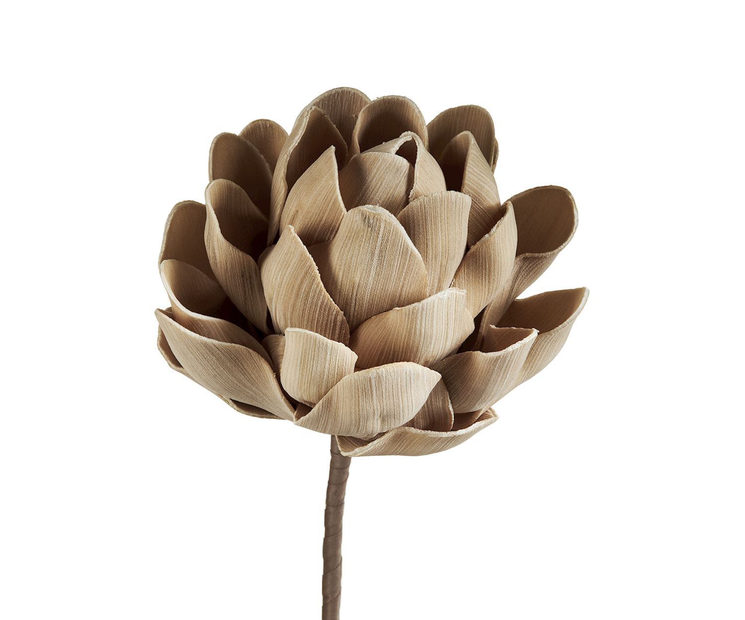 EVA LIFE-LIKE ARTICHOKE STEM - BROWN