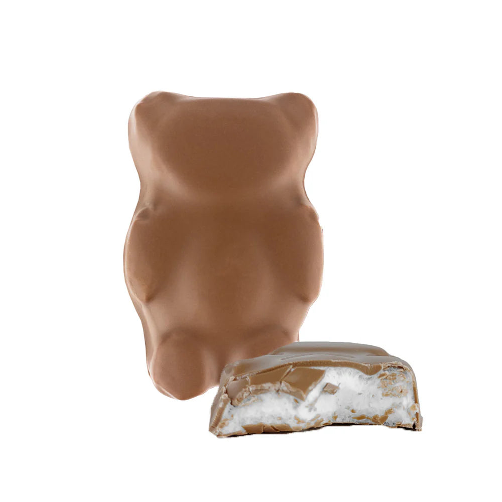 MILK CHOCOLATE COATED MARSHMALLOW BEAR 40G