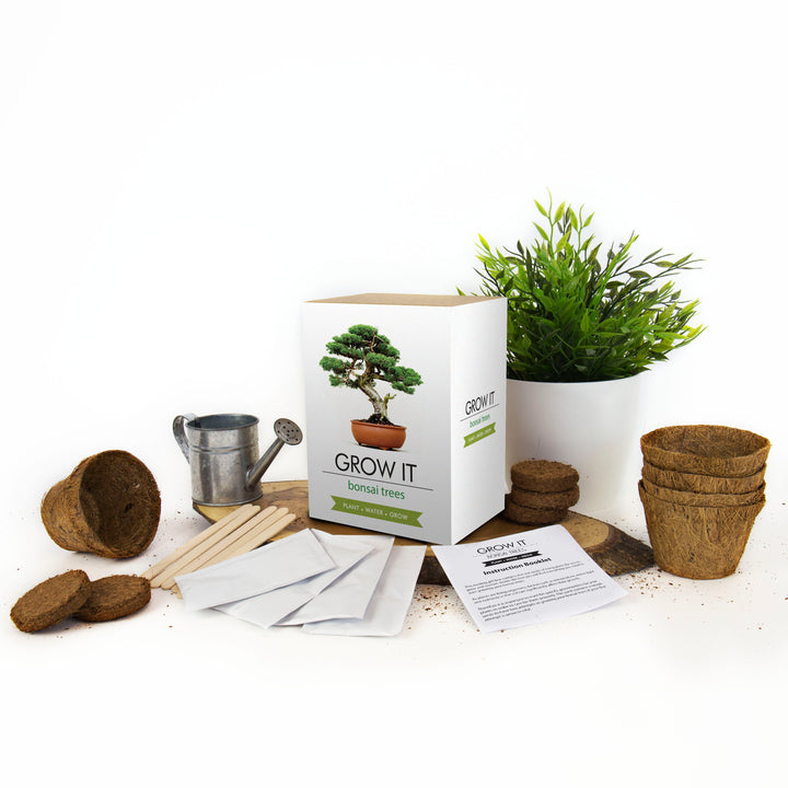 GROW IT BONSAI TREE KIT
