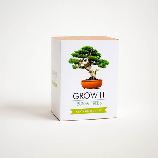GROW IT BONSAI TREE KIT
