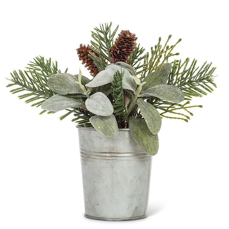 PINE BRANCH GREENERY IN BUCKET - 6''H