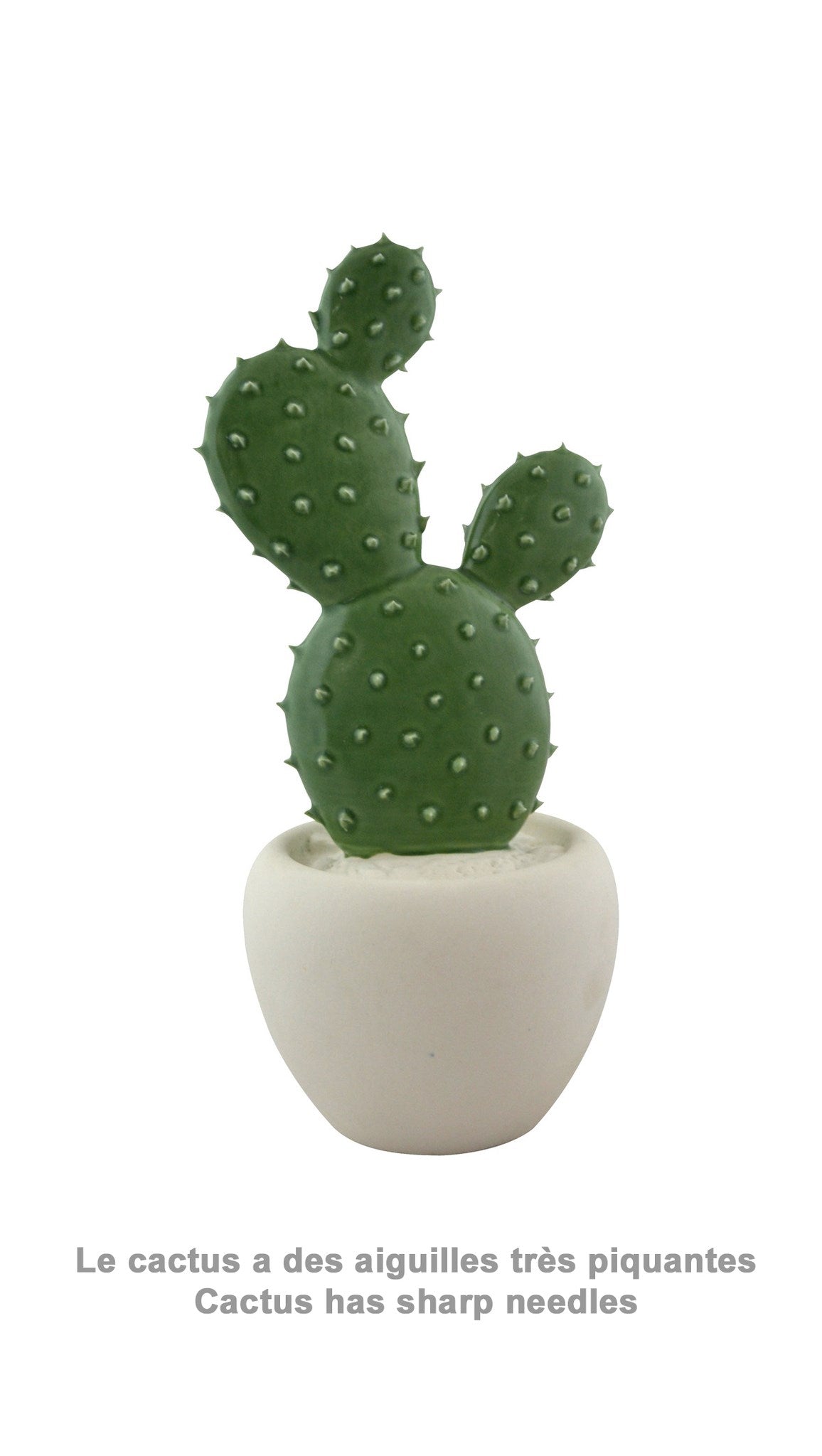 OPUNTIA CACTUS