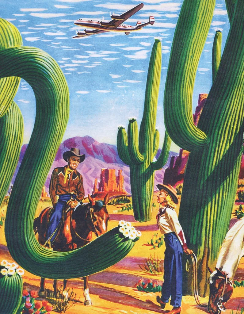 CACTUS COUNTRY PUZZLE