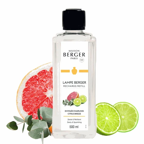 500ML BRUMES D&