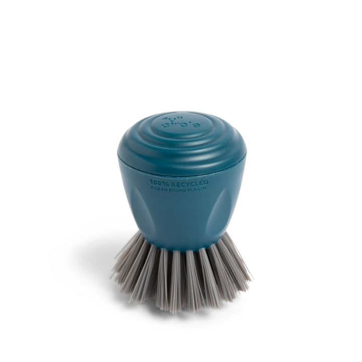 CLEAN OCEAN PALM BRUSH