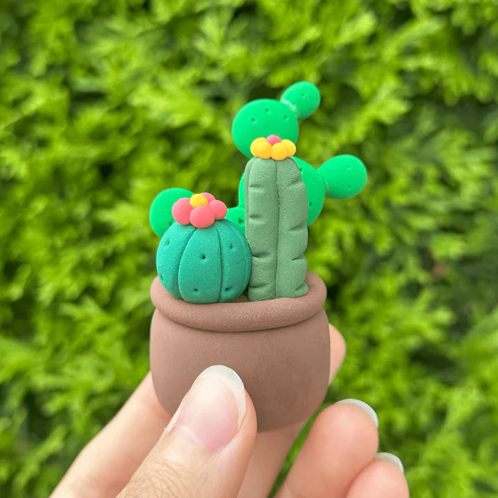 CRAZY CACTI