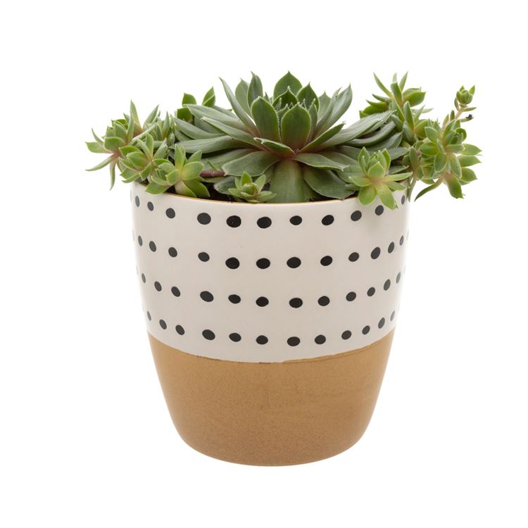 DOODLE POT "CARAMEL"