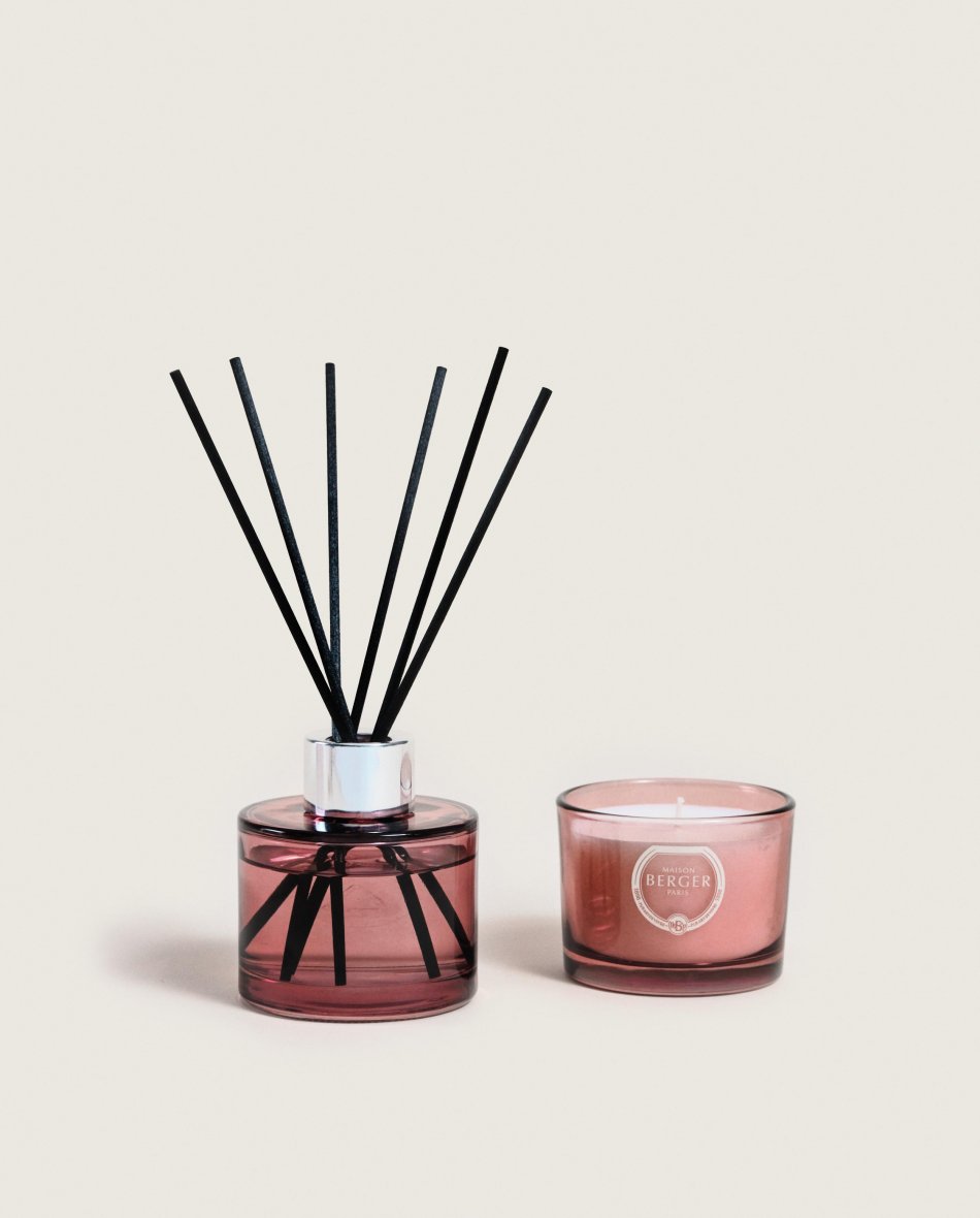 MAISON BERGER - Duo Mini Bouquet & Candle Joy 80ML/80GR