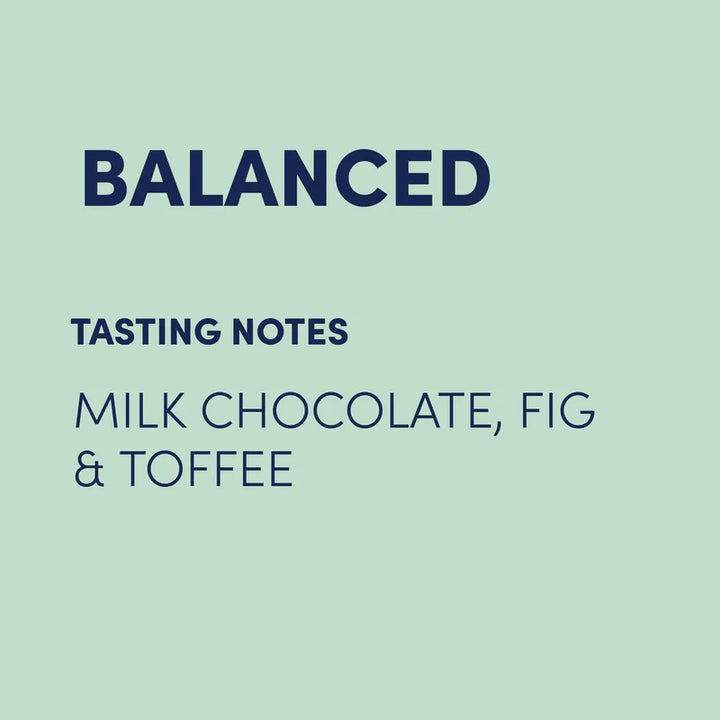 ELEVATE BLEND - MEDIUM COARSE (FILTER) 300GR