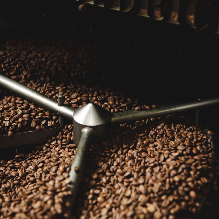 FERNWOOD BLEND (WHOLE BEANS) 454G