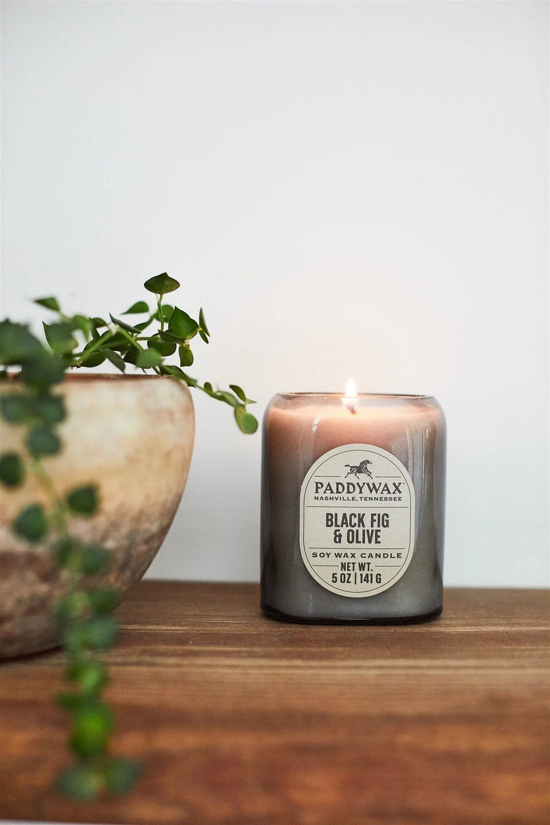 VISTA 5OZ CANDLE - BLACK FIG & OLIVE