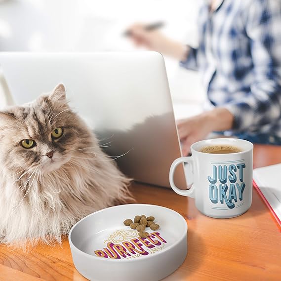 FRED & FRIENDS HOWLIGANS - MUG_CAT BOWL - PURRFECT SET