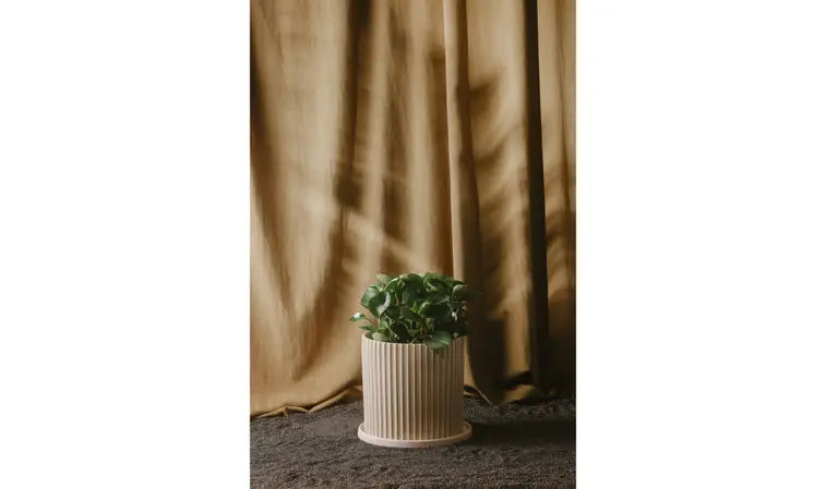 KUHI LARGE PLANTER "LIGHT BEIGE"