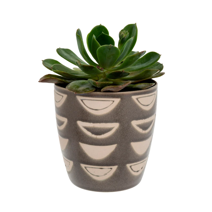Homeware
