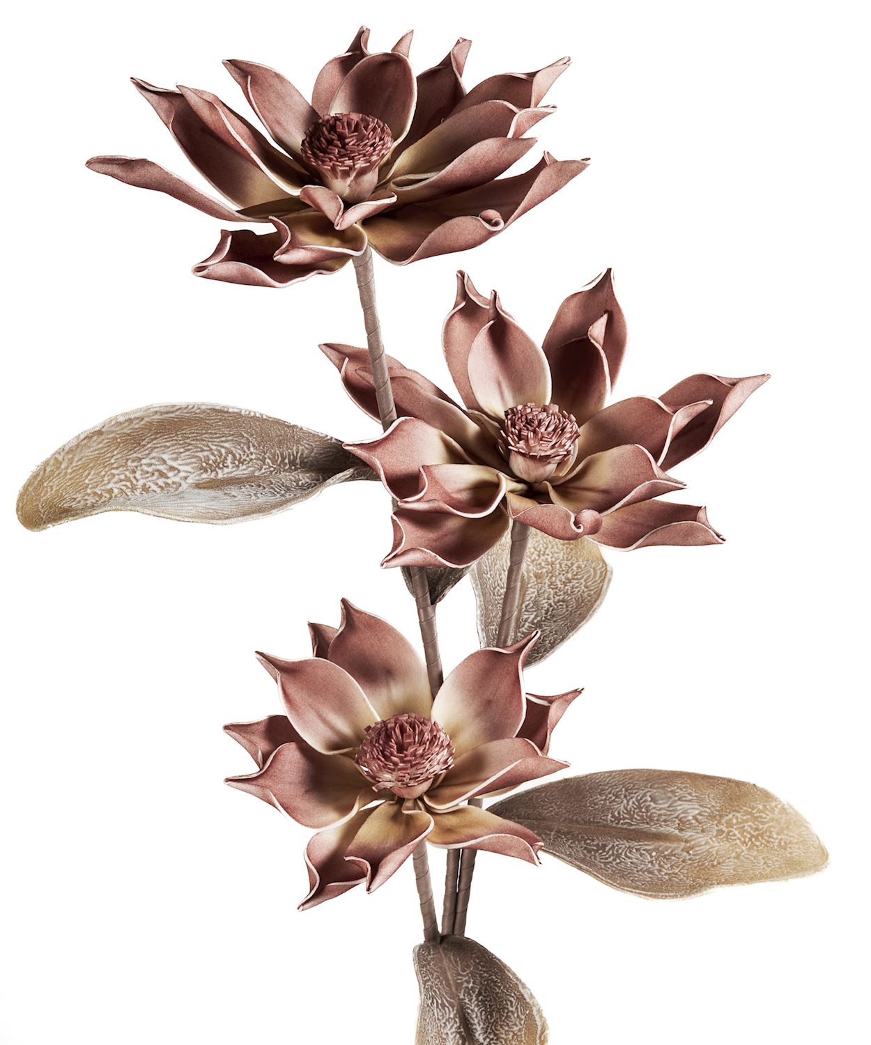 EVA LIFE-LIKE MAGNOLIA STEM