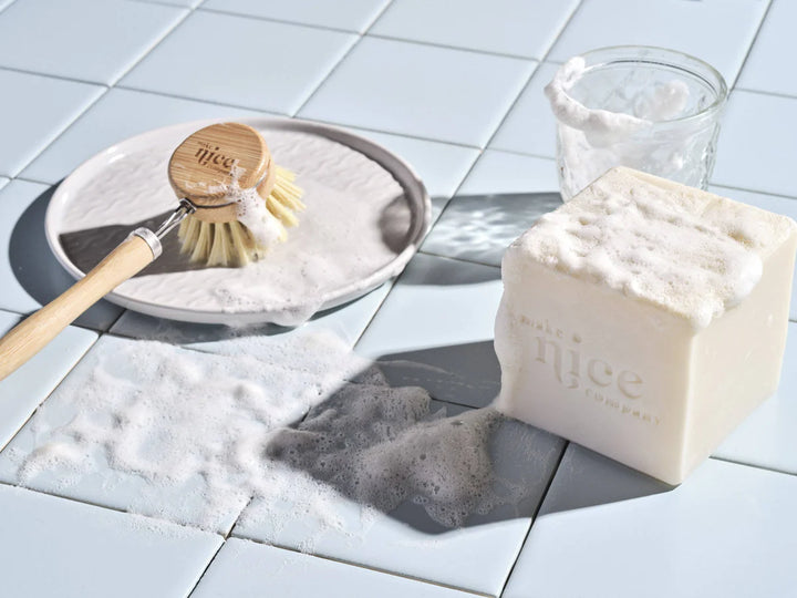 MAKE NICE COMPANY - DISH BRUSH - SINGLE