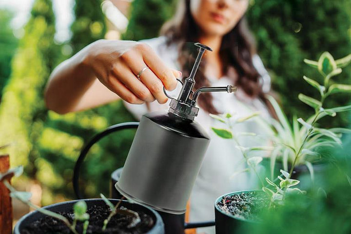 CLASSIC PLANT MISTER - BLACK 8&