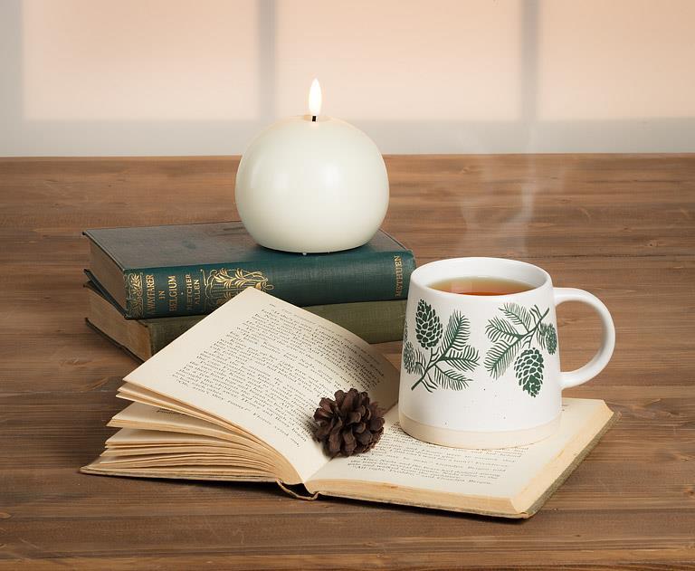 Wide Base Mug with Pinecones (3.5"H 14OZ)