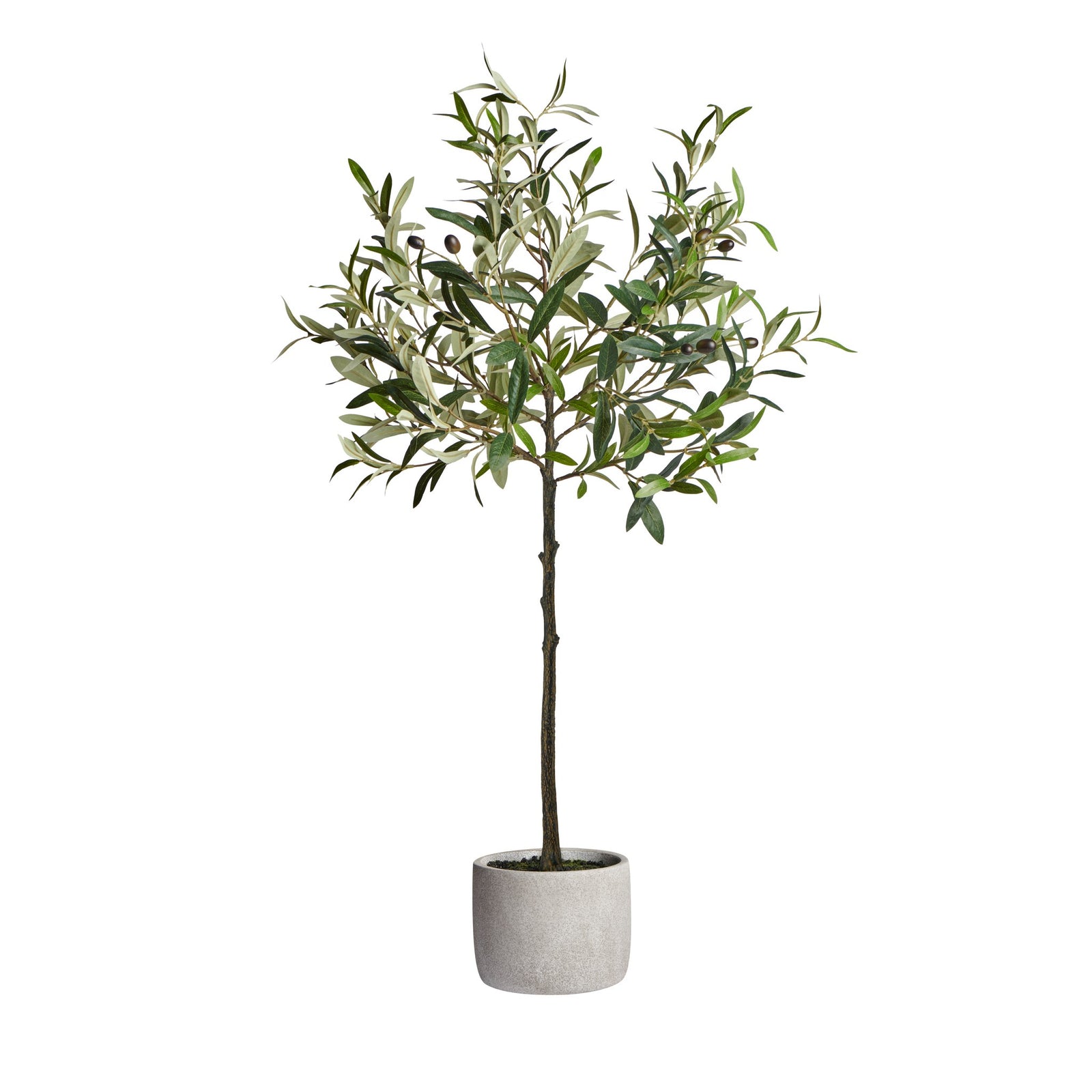 OLIVE TREE 37''H CEMENT POTTED FAUX PLANT