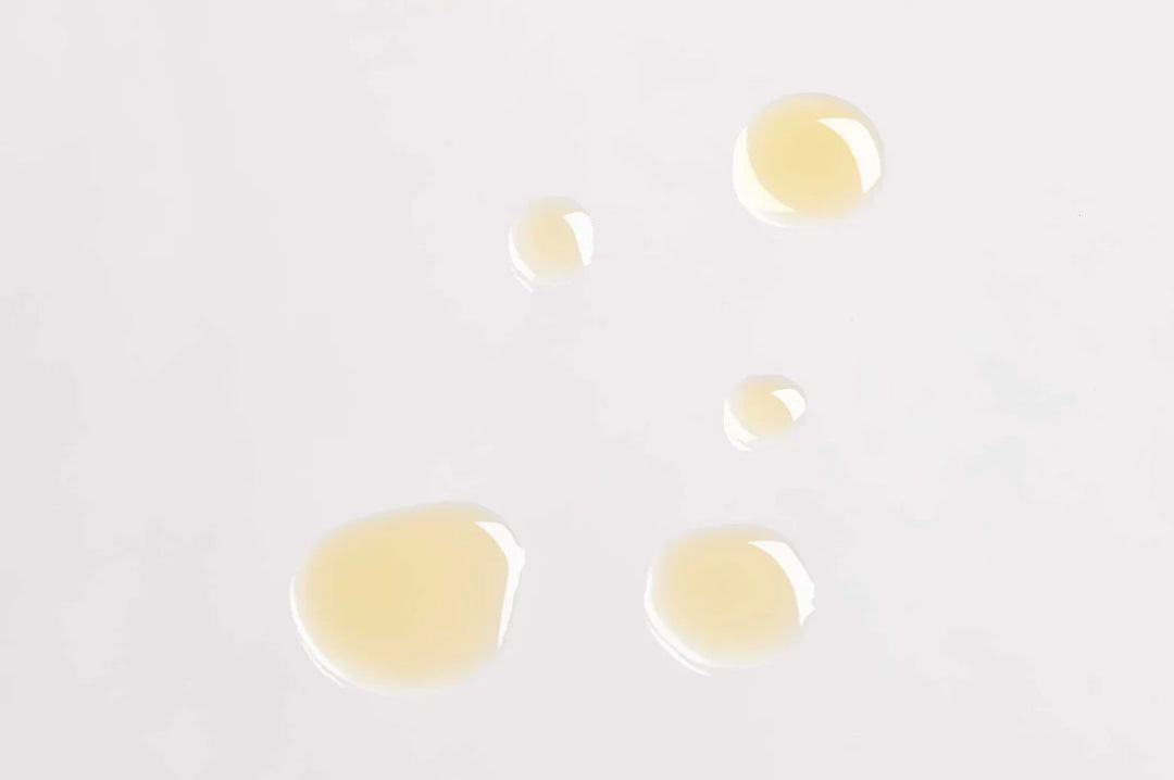PRICKLY PEAR + SCHISANDRA YOUTH CONCENTRATE 15ML
