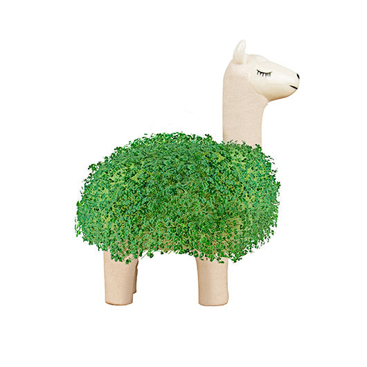 LLAMA PLANTER WITH SEEDS