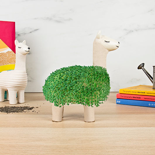 LLAMA PLANTER WITH SEEDS