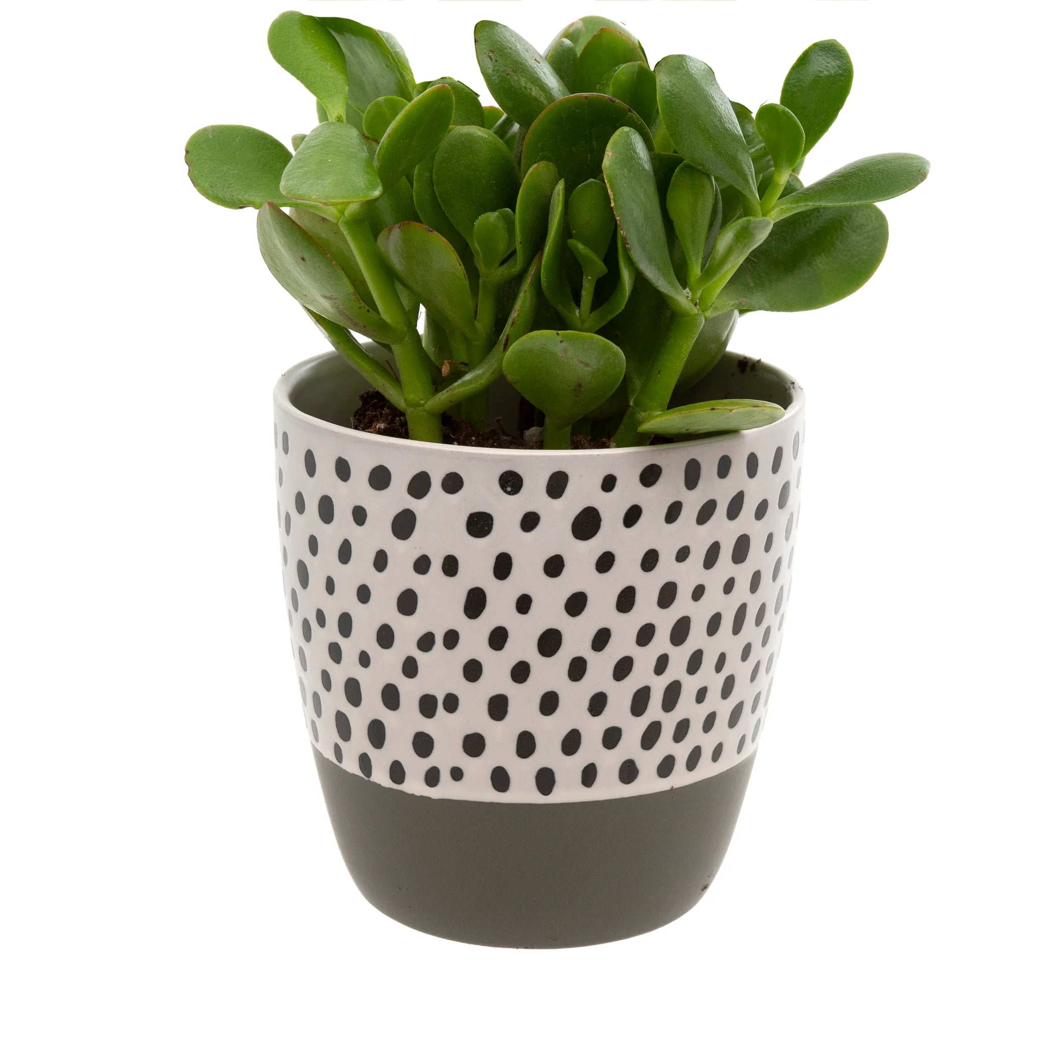 Homeware