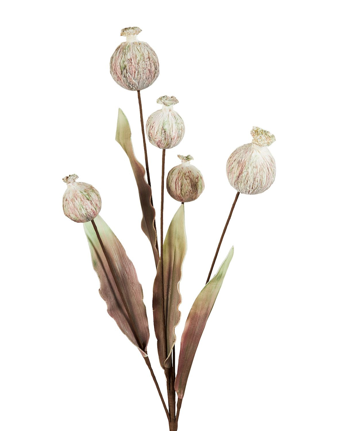 EVA/RSN LIFE-LIKE POPPY PODS SPRAY