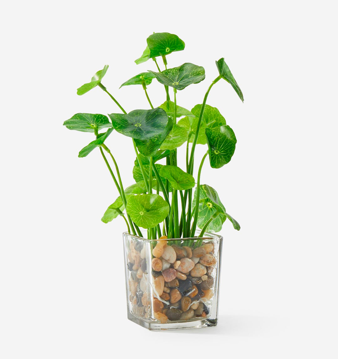 ARTIFICIAL POTTED PLANT IN GLASS POT