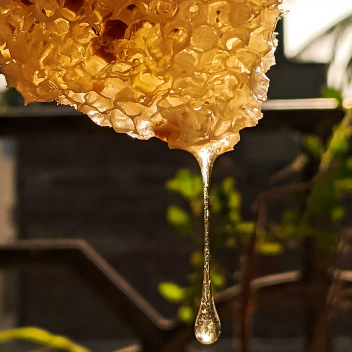 HAND CREAM - REGENERATING HONEY 75ML